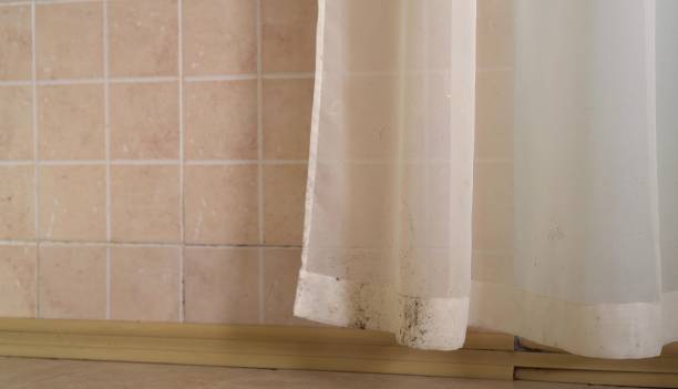 Mountain House, CA Mold Removal Company