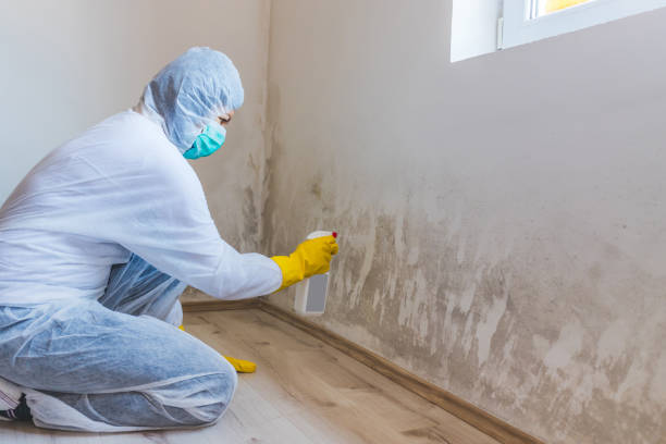 Asbestos and Lead Testing During Mold Inspection in Mountain House, CA
